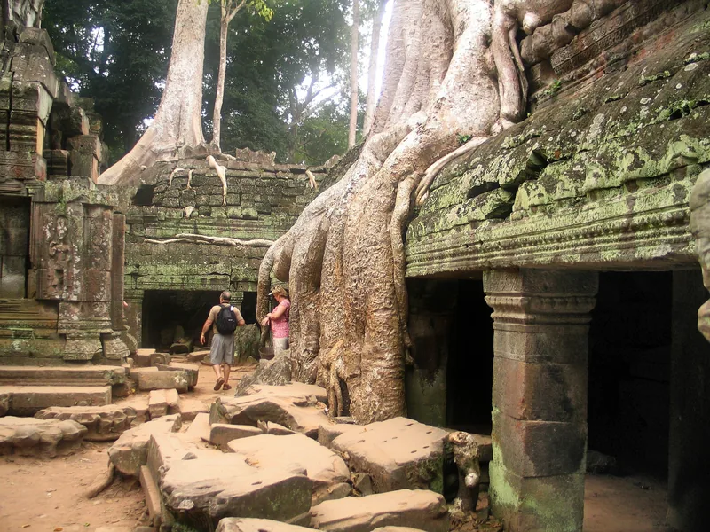 Massive tree roots engulf ancient stone walls at Ta Prohm temple near Siem Reap as visitors explore below.