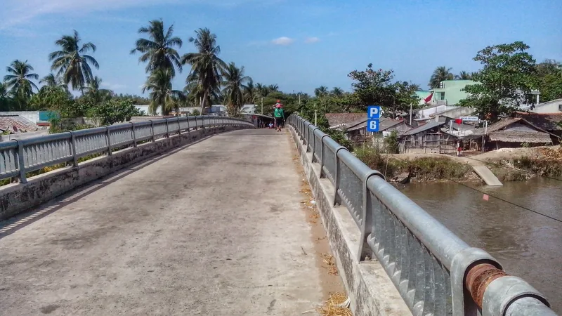 A concrete bridge with steel railings crosses a canal lined with palm trees and stilt houses in the Mekong Delta.